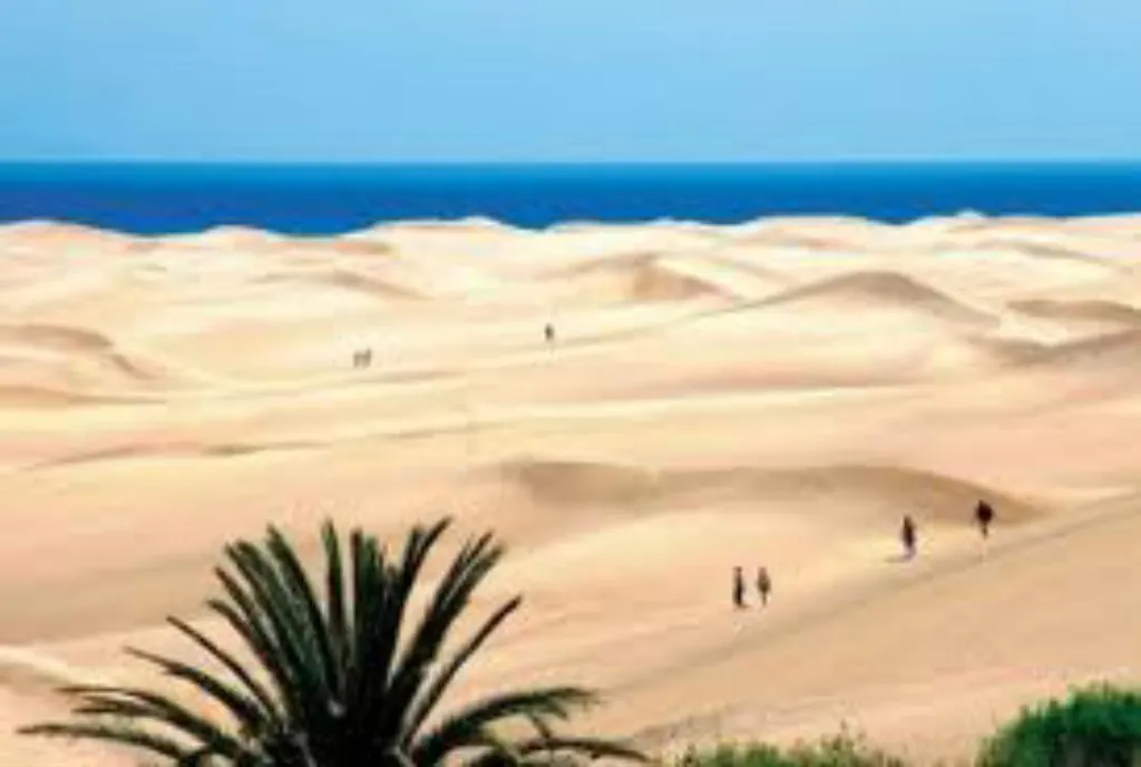 Appartement Hôtel Apartamento Centrico Playa Del Ingles à Maspalomas  Espagne